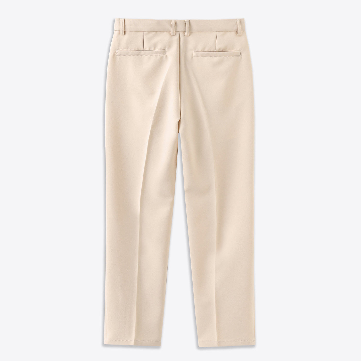 Rear-view-elegant-mens-fabric-trousers-with-two-pockets-and-straight-cut